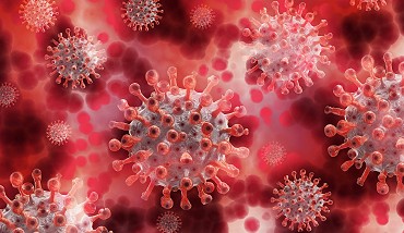 Coronavirus and the law
